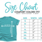 2025 Comfort Colors End of School T-Shirts -ALL COLORS - Youth & Adult Sizes
